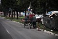 IMG_7789 (2)